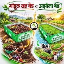 गांडूळ खत बेड व अझोला बेड