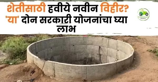 जिरायत शेती आता होणार बागायत! 'डॉ. बाबासाहेब आंबेडकर' आणि 'बिरसा मुंडा' कृषी क्रांती योजनेतून ८६१ विहिरींना मंजुरी