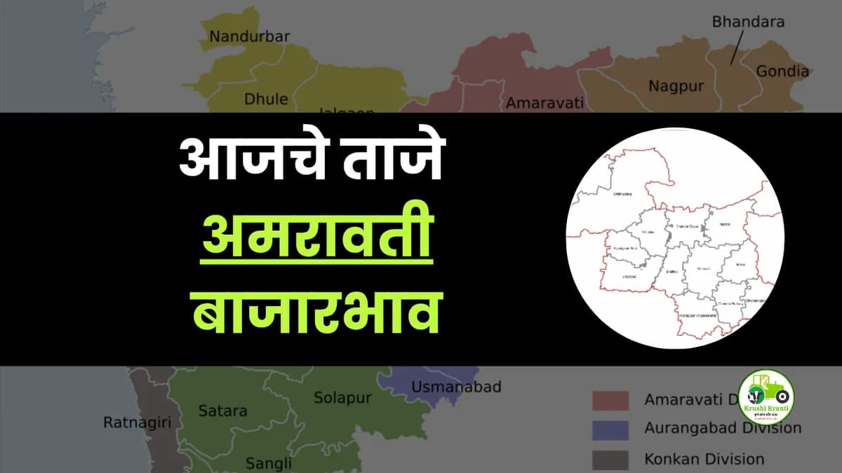 आजचे अमरावती बाजारभाव 