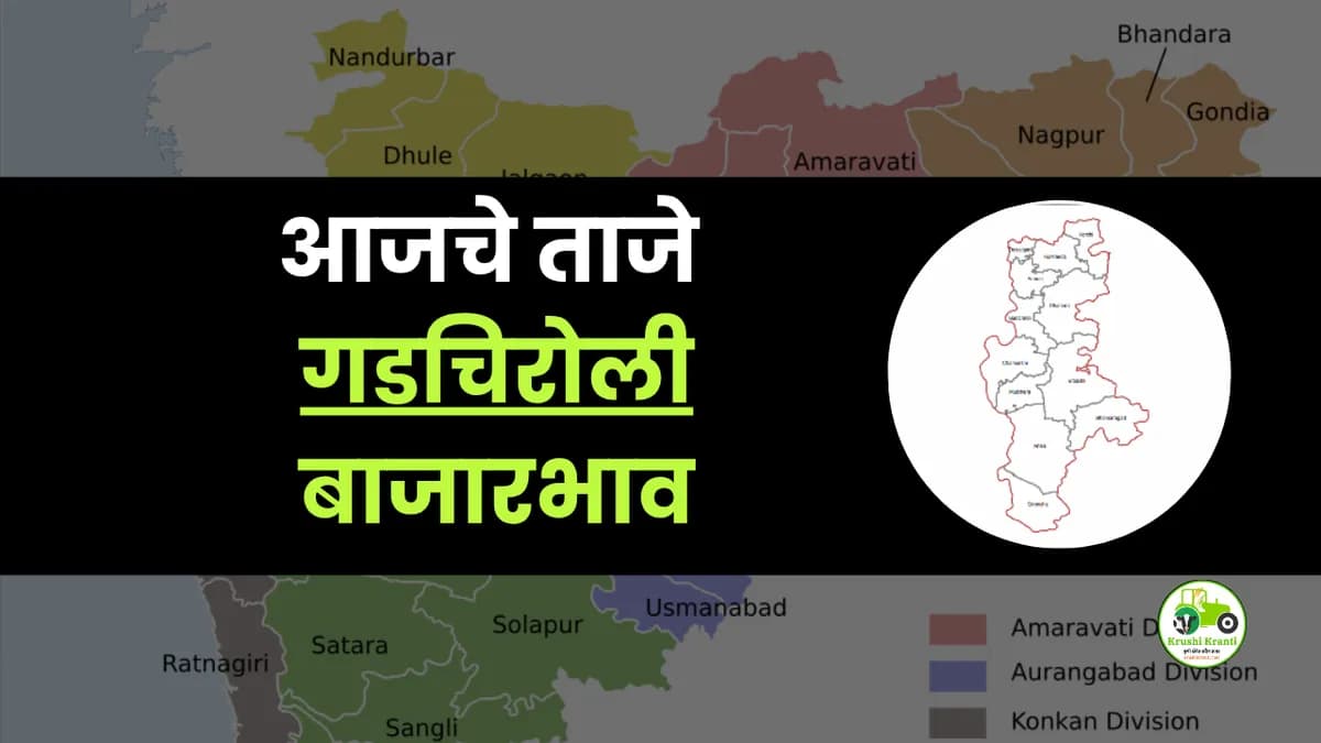 आजचे गडचिरोली बाजारभाव 
