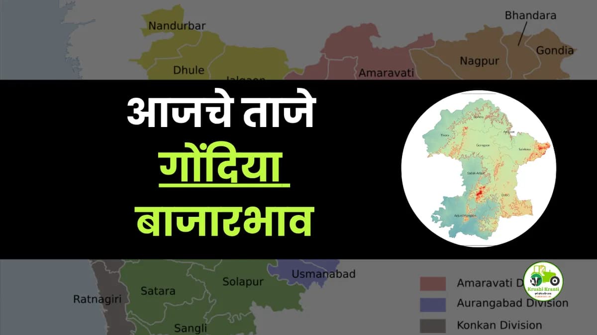 आजचे गोंदिया बाजारभाव 