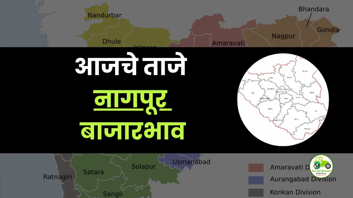 आजचे नागपूर बाजारभाव 
