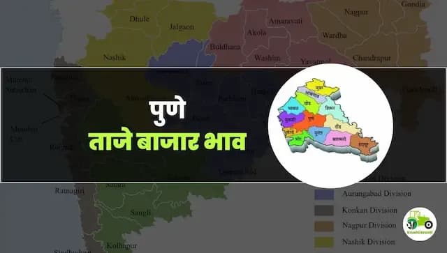 आजचे पुणे बाजारभाव 