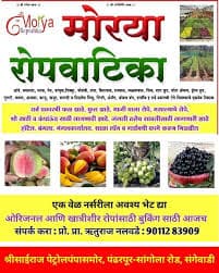 मोरया रोपवाटीका