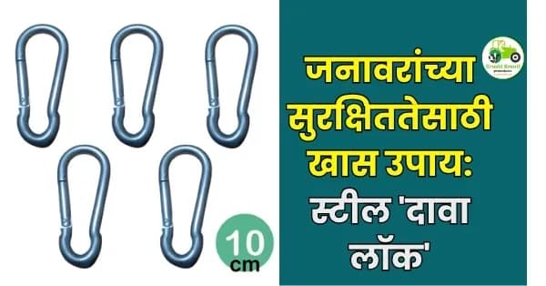 जनावरांच्या सुरक्षिततेसाठी खास उपाय: स्टील 'दावा लॉक'; दाव्याला द्या मजबुती आणि जनावरांना सुरक्षितता!