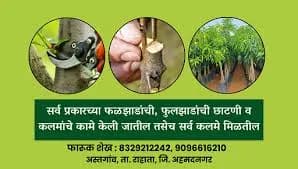 आमच्याकडे सर्व प्रकारची कलमे व सर्व प्रकारची छाटणी करून मिळेल