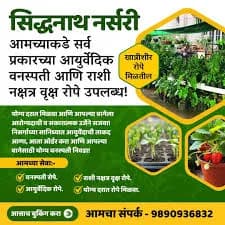 सिद्धनाथ नर्सरी