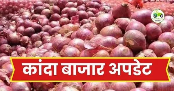 कांदा बाजार अपडेट: पिंपळगाव बसवंतमध्ये उन्हाळी कांद्याची विक्रमी आवक; १९०० पार, पाहा आजचे ताजे दर