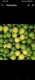 लिंबू विकणे आहे