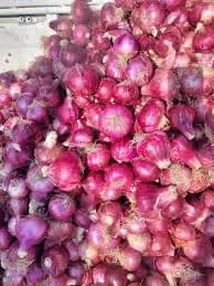 कांदा विकणे आहे