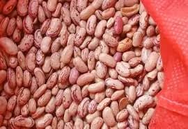 ब्राझील राजमा विक्रीसाठी उपलब्ध आहे