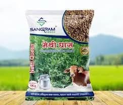 मेथी घास बियाणे मिळेल
