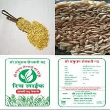 खपली गहू बियाणे विक्रीसाठी उपलब्ध