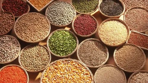 सर्व प्रकारचे धान्य विकत घेतले जाईल
