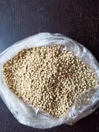 ज्वारी विकण्यासाठी उपलब्ध आहे