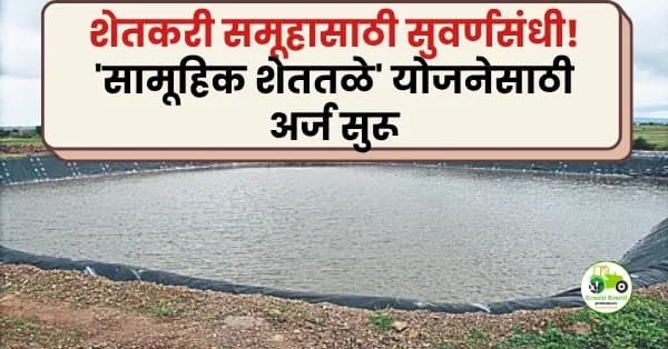 शेतकरी समूहासाठी सुवर्णसंधी! 'सामूहिक शेततळे' योजनेसाठी अर्ज सुरू; जाणून घ्या सविस्तर मार्गदर्शक सूचना