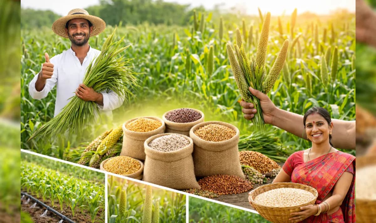 सर्व पिकांवर सल्ला मिळेल