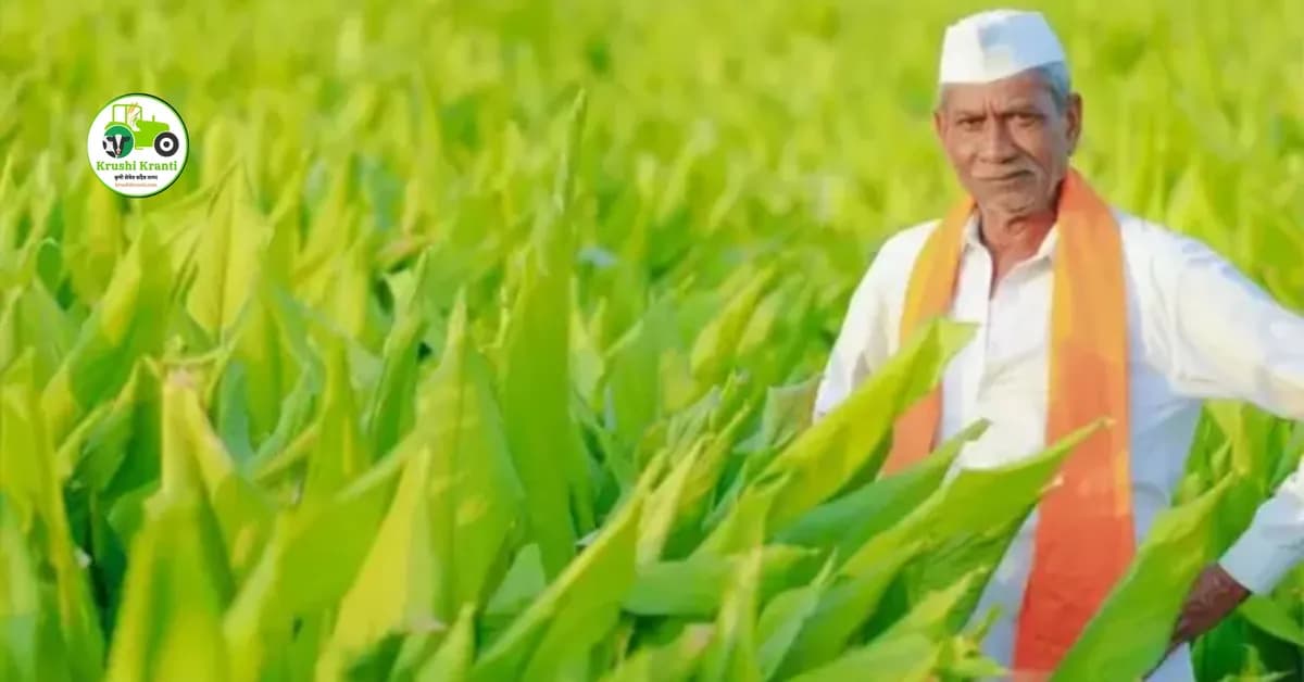 जमीन खरेदी करताना 'या' चुका टाळा, अन्यथा होईल मोठे नुकसान; सर्वोच्च न्यायालयाचा महत्त्वाचा निकाल