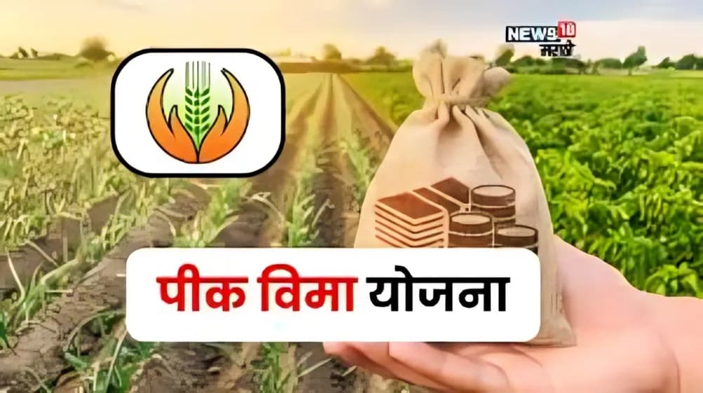 कृषी विभागाचा मोठा निर्णय! फळपीक विम्यासाठी शेतकऱ्यांना Farmer ID अनिवार्य