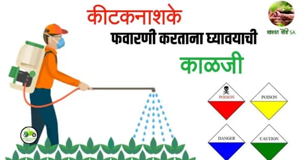 किटकनाशक व रोगनाशक औषधे वापरताना घ्यावी हि काळजी 