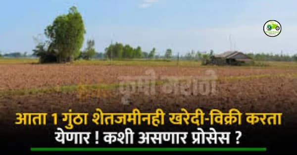 एक-दोन गुंठे जमिनीची खरेदी-विक्री आता कायदेशीर