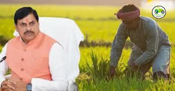 शेतकऱ्यांना मिळणार अनुदान! सरकारचा मोठा निर्णय