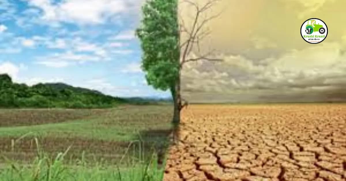 हवामान बदलाचे फळपिकांवर होणारे परिणाम आणि त्यावरील उपाय