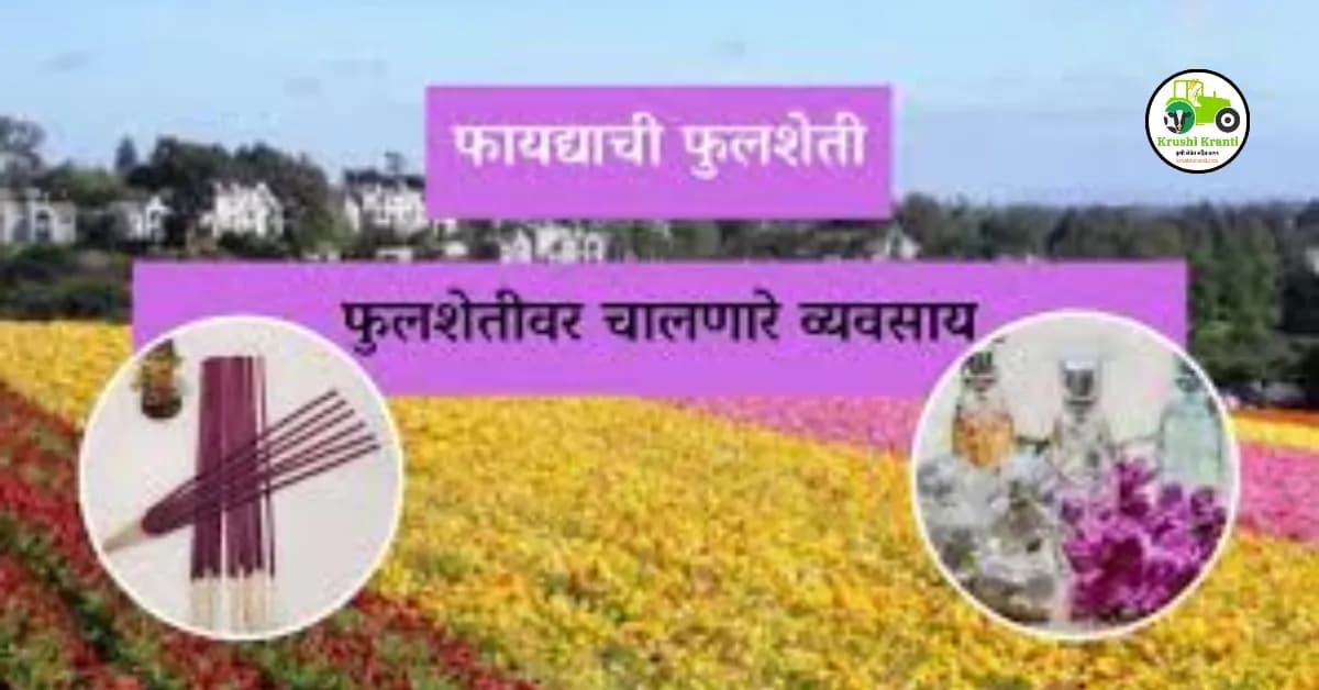 फायद्याची फुलशेती फुलशेतीवर चालणारे व्यवसाय