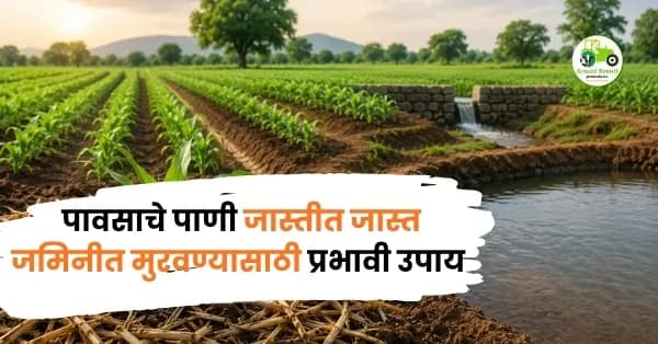 शेतीत ओलावा टिकवण्यासाठी 10 प्रभावी उपाय | मातीतील पाणी साठवण क्षमता वाढवा