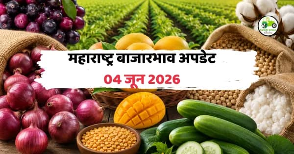 महाराष्ट्र बाजारभाव अपडेट 04 जून 2026: कांदा, आंबा, तूर, कापूस आणि काकडीचे ताजे बाजारभाव