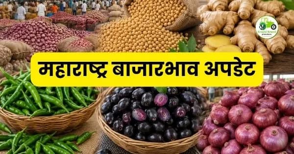 महाराष्ट्र बाजारभाव 05 जून 2026: कांदा, तूर, आले, मिरची आणि जांभूळचे ताजे दर