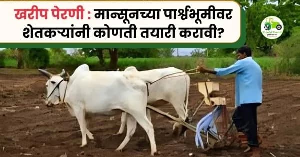खरीप पेरणी 2026: मान्सून, बियाणे चाचणी आणि खत व्यवस्थापनाबाबत महत्त्वाचा सल्ला