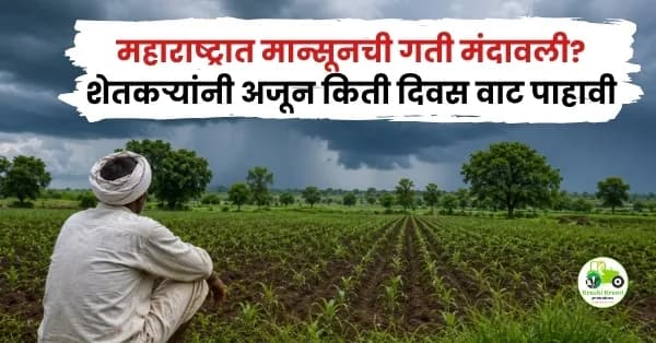 महाराष्ट्रात मान्सूनची गती मंदावली? शेतकऱ्यांनी अजून किती दिवस वाट पाहावी; जाणून घ्या हवामानाचा ताजा अंदाज
