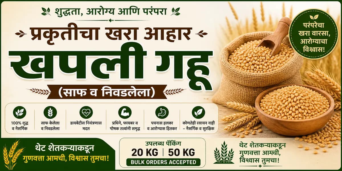 खपली गहू विक्रीसाठी आहे