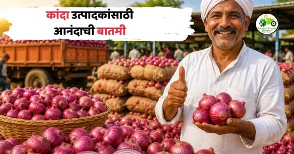 कांदा उत्पादकांसाठी मोठी खुशखबर! सरकारकडून कांदा खरेदी दर 16.50 रुपये प्रति किलो