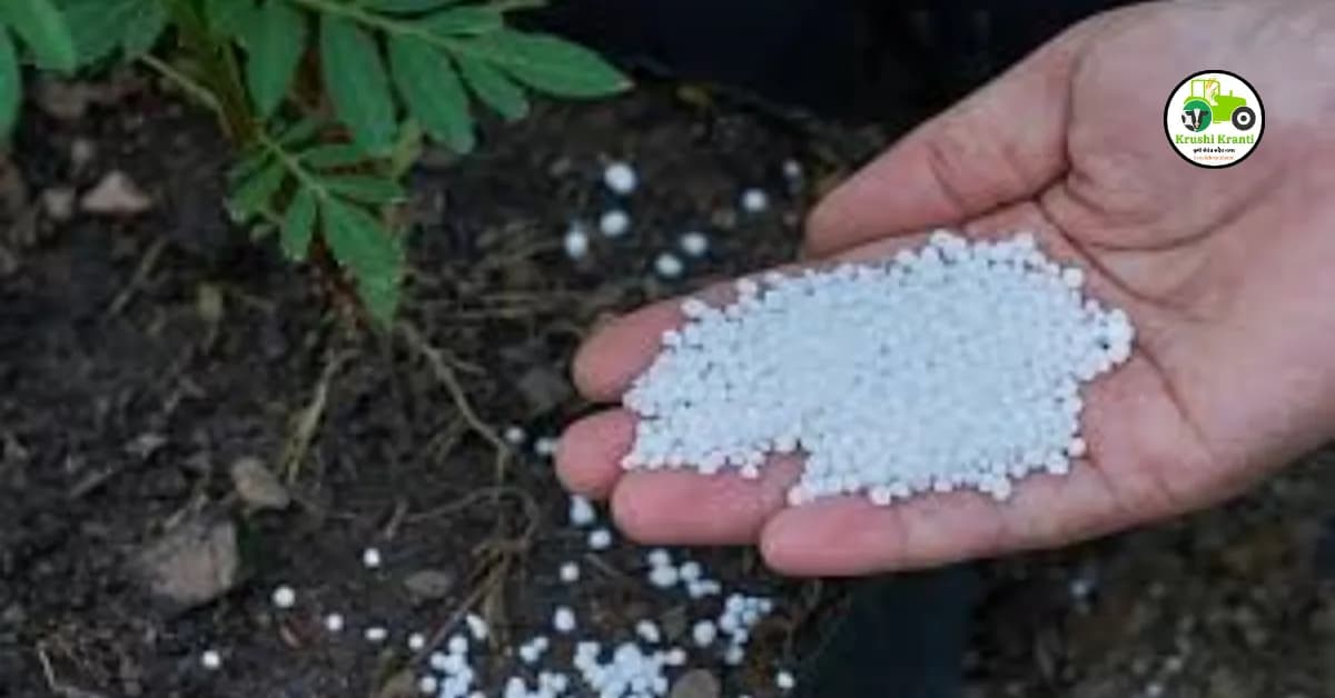 पिकनिहाय रासायनिक खते  निवडण्यासाठी काही महत्त्वाच्या टिप्स 