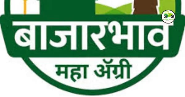 Bajarbhav : शेतमालाचे दररोजचे बाजारभाव घरबसल्या तुमच्या मोबाईलवर कसे पाहायचे?