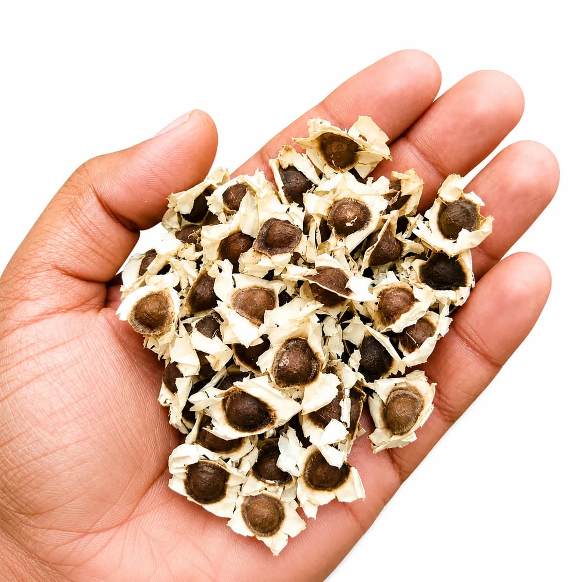 ओडीसी (ODC) सुपर गोल्ड शेवगा बियाणे