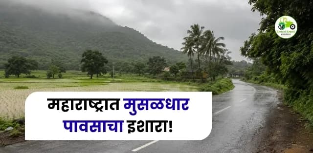 महाराष्ट्रात मुसळधार पावसाचा इशारा! कोणत्या भागात अतिवृष्टीची शक्यता? शेतकऱ्यांनी कोणती काळजी घ्यावी?