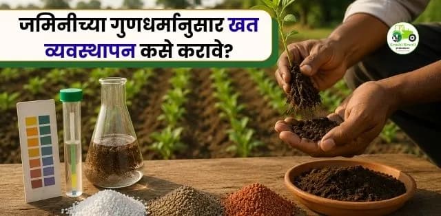 जमिनीच्या गुणधर्मानुसार खत व्यवस्थापन कसे करावे? उत्पादन वाढवण्यासाठी शास्त्रीय मार्गदर्शन