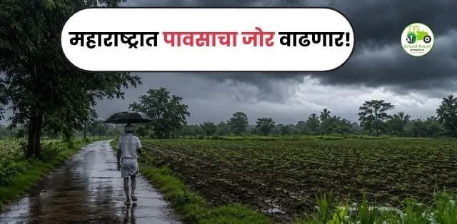महाराष्ट्रात पावसाचा जोर वाढणार! २४ जिल्ह्यांना यलो अलर्ट; हवामान विभागाचा महत्त्वाचा इशारा