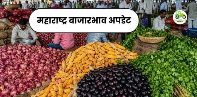 महाराष्ट्र बाजारभाव अपडेट (२७ जून २०२६): कांदा, मका, जांभूळ आणि कोथिंबिरीच्या दरात मोठे चढ-उतार