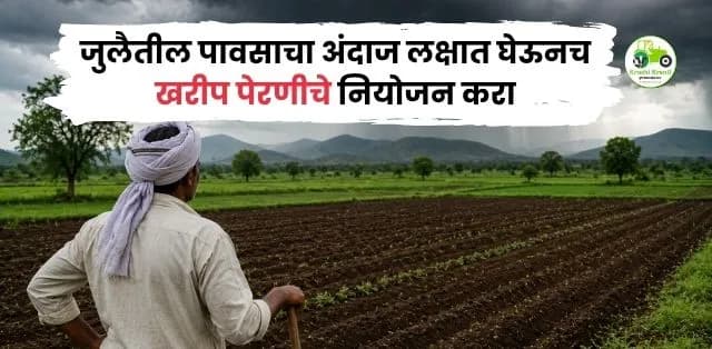 जुलैतील पावसाचा अंदाज लक्षात घेऊनच खरीप पेरणीचे नियोजन करा; शेतकऱ्यांसाठी तज्ज्ञांचा महत्त्वाचा सल्ला