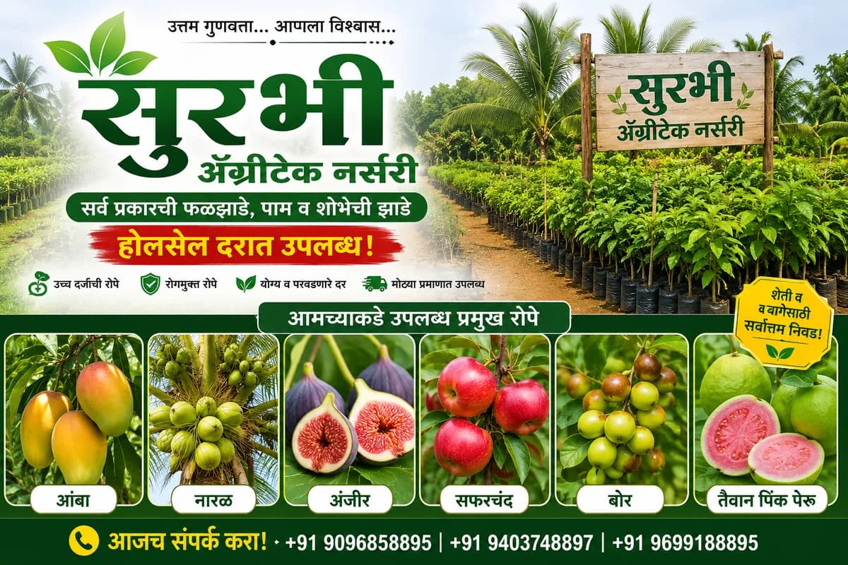 सुरभी अ‍ॅग्रीटेक नर्सरी