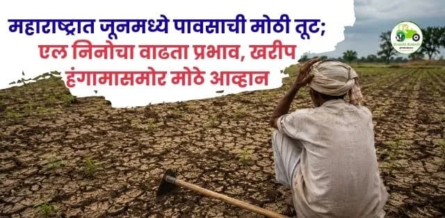 महाराष्ट्रात जूनमध्ये पावसाची मोठी तूट; एल निनोचा वाढता प्रभाव, खरीप हंगामासमोर मोठे आव्हान