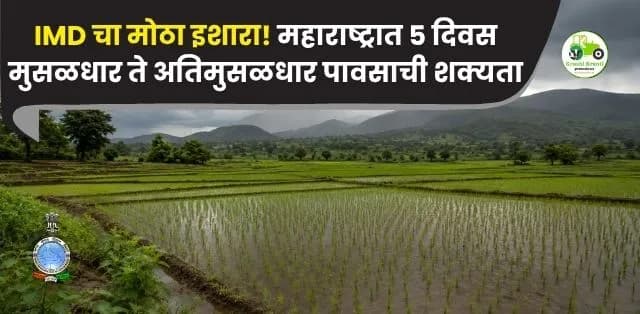 IMD चा मोठा इशारा! महाराष्ट्रात ५ दिवस मुसळधार ते अतिमुसळधार पावसाची शक्यता; शेतकऱ्यांनी घ्यावी विशेष काळजी