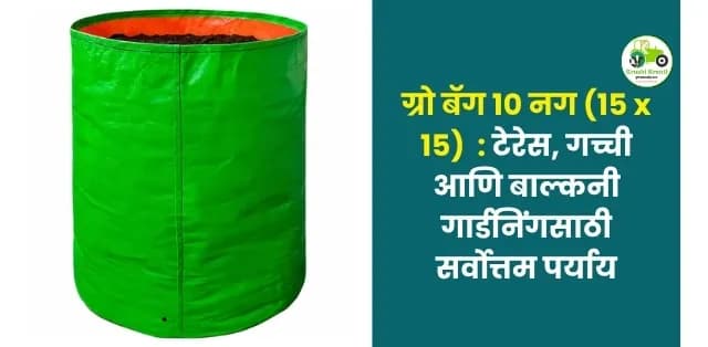 टेरेस, गच्ची आणि बाल्कनी गार्डनिंगसाठी सर्वोत्तम पर्याय