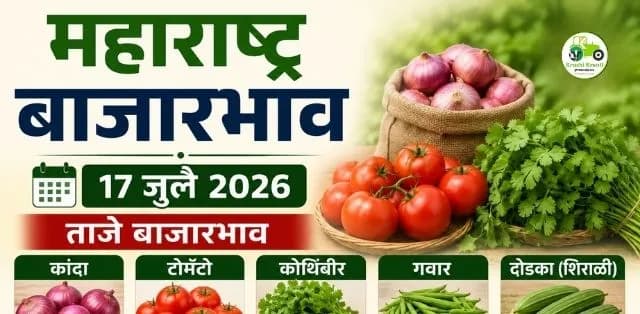 कांदा, टोमॅटो, कोथिंबीर, गवार आणि दोडक्याच्या दरात मोठी चढ-उतार