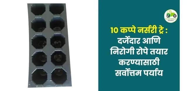 दर्जेदार आणि निरोगी रोपे तयार करण्यासाठी सर्वोत्तम पर्याय