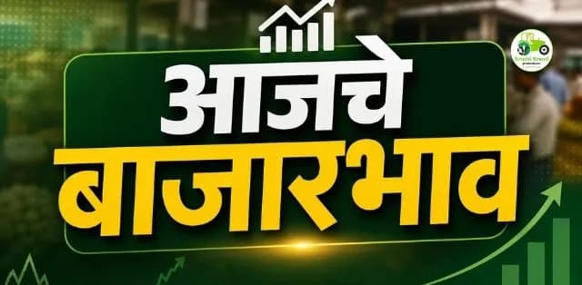 कांदा, टोमॅटो, पालक, वांगी आणि कोथिंबिरीच्या दरात चढ-उतार